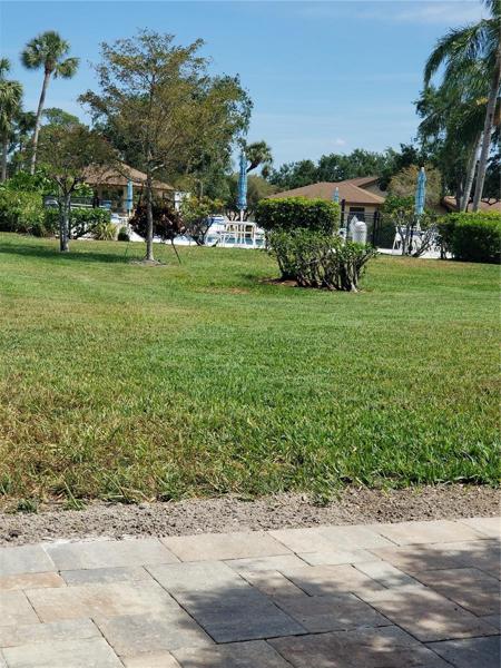 View from your new patio