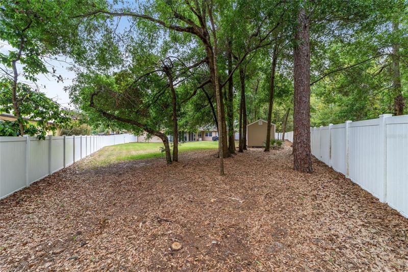 side/backyard