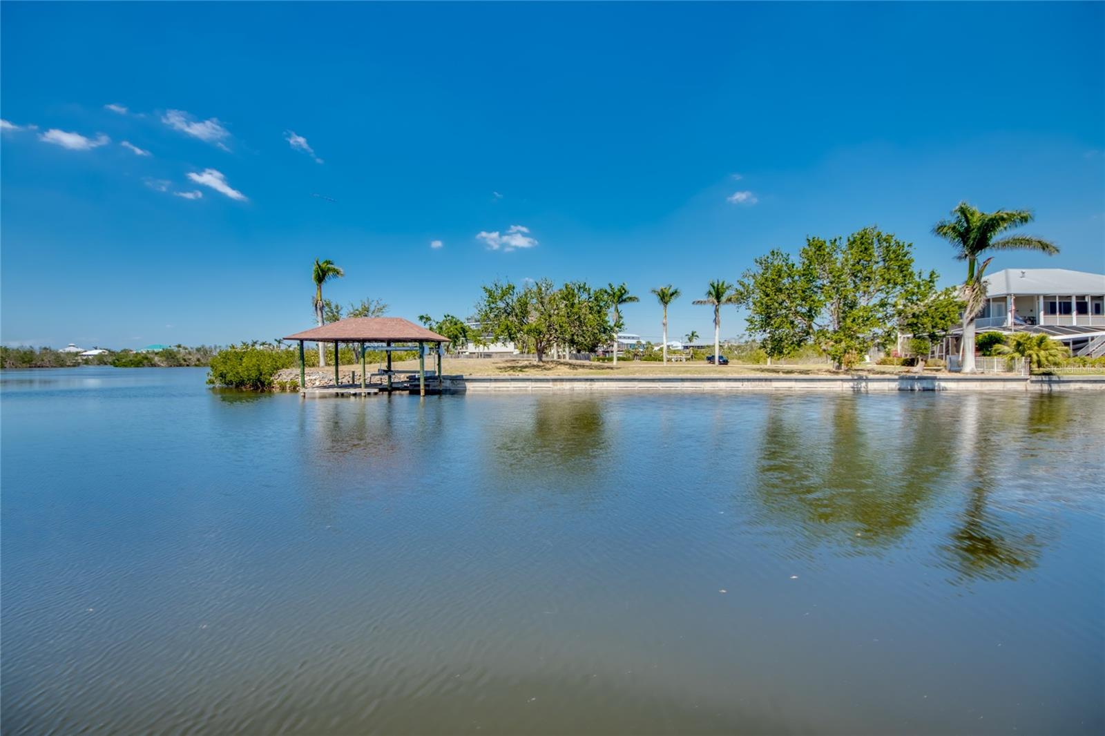 Beautiful view - water and palm trees!