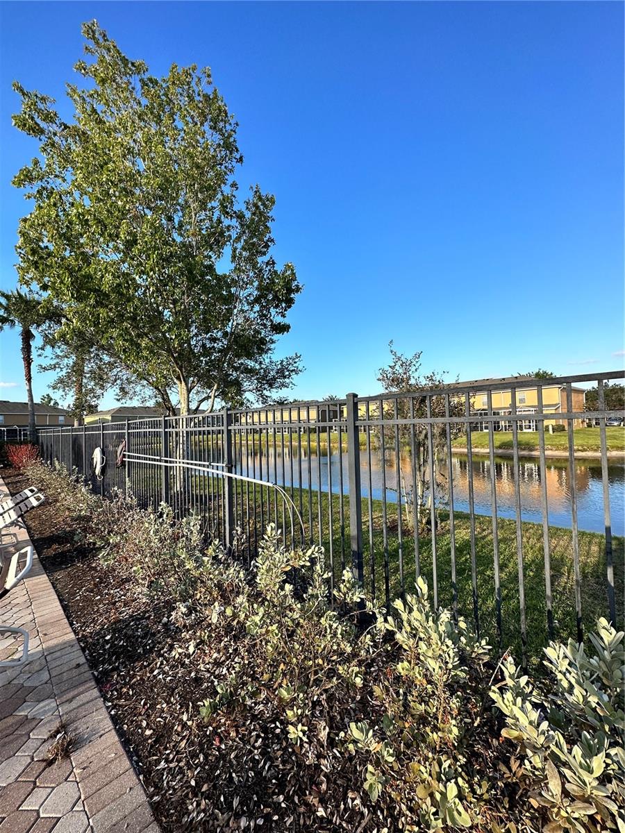 Pond Behind Community Pool
