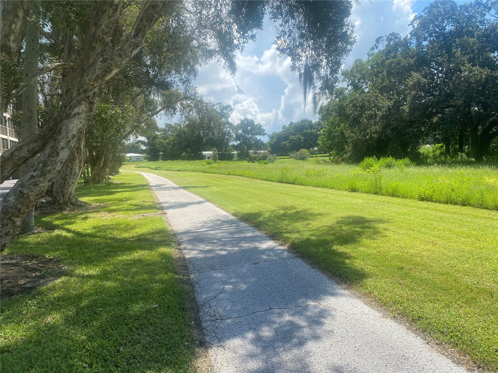 Walking Trail through Baypoint Preserve conservation area