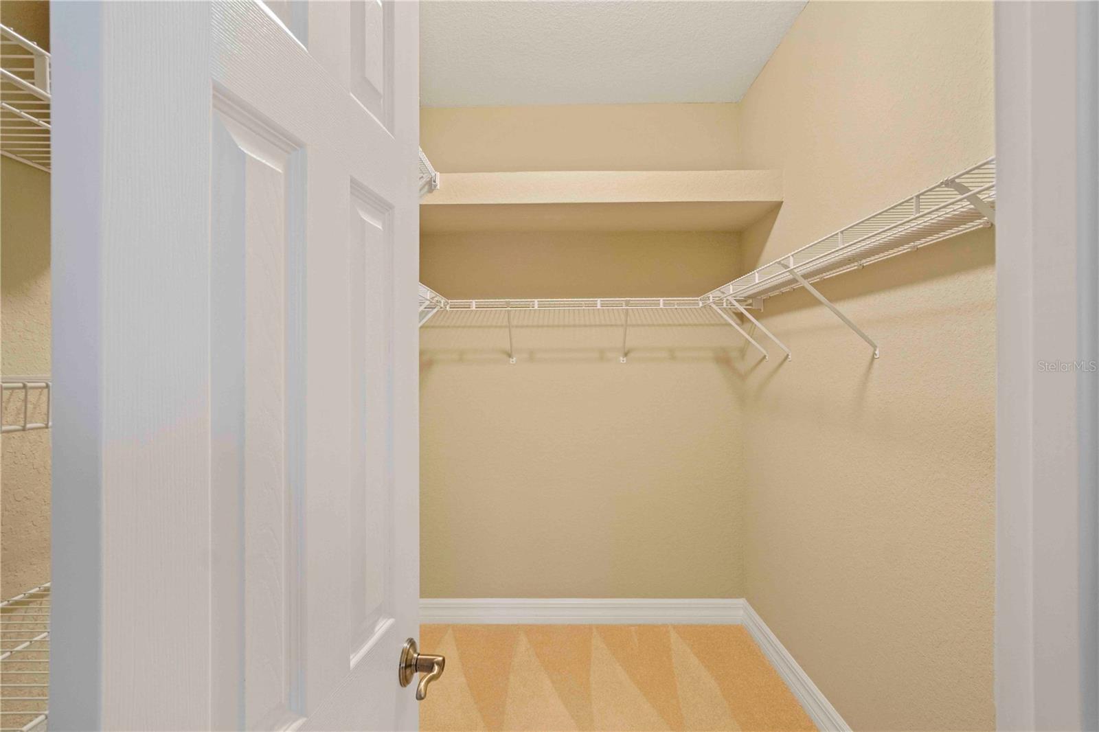 Master suite with walk-in closet
