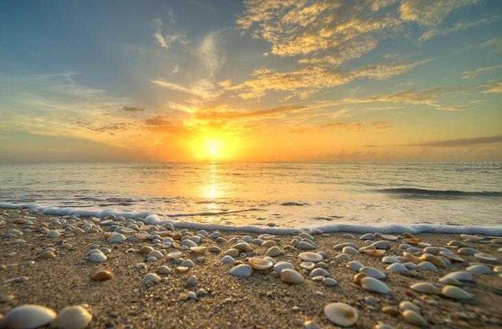 Beautiful sunsets