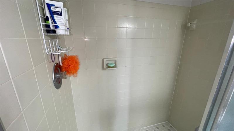 MASTER SHOWER