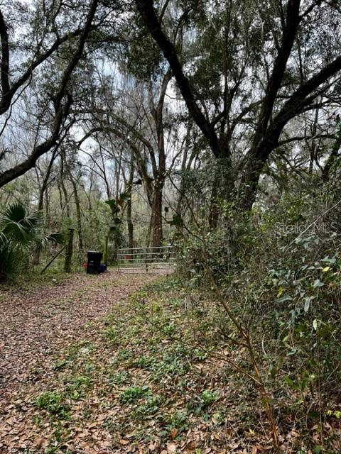 Driveway on 34th street for 6226