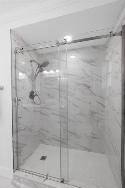 Guest Shower 1