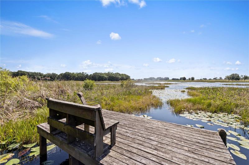 Lake Dock