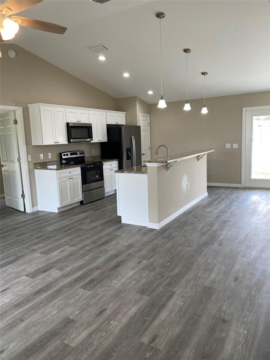 Living Room/Kitchen