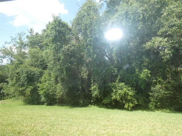 View from Rear Patio