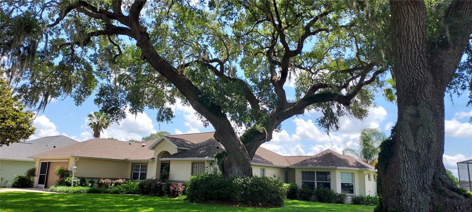 FRONT YARD WITH MATURE TREES