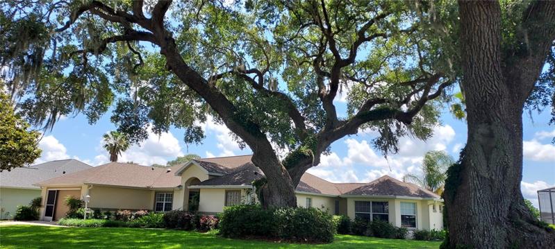 FRONT YARD WITH MATURE TREES