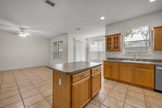 FAMILY ROOM IN BACKGROUND FROM KITCHEN AREA