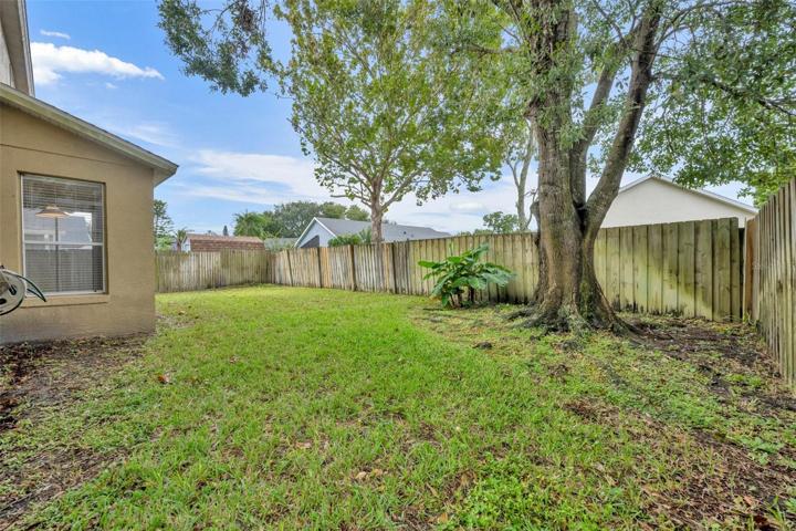 REAR YARD