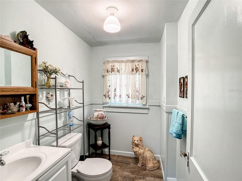 Guest bathroom