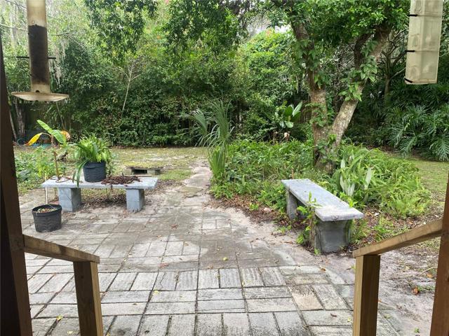 Back yard view behind the home.