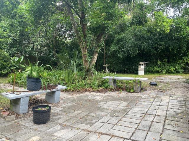 Back yard view.