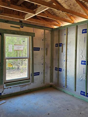 Framing and exterior wall insulation is in!!