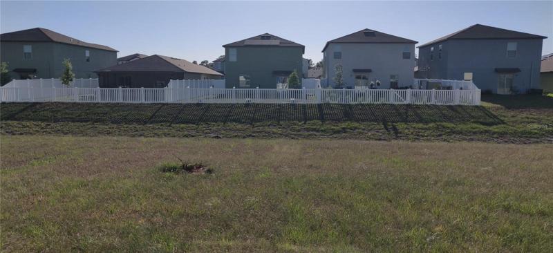 Backyard No Neighbor