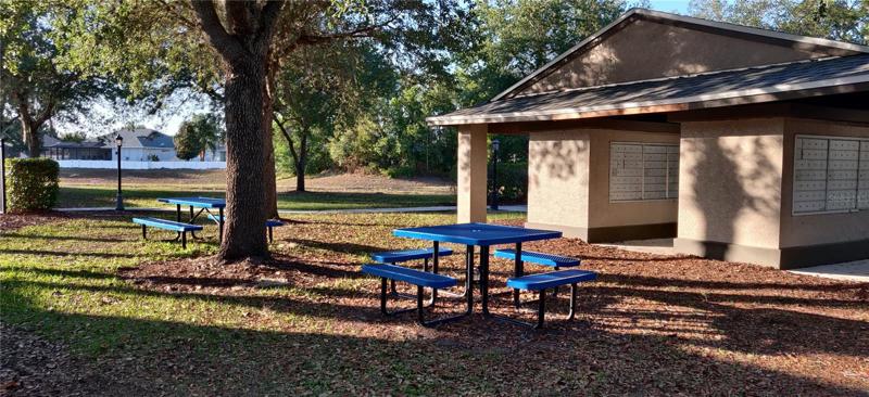 Picnic Area