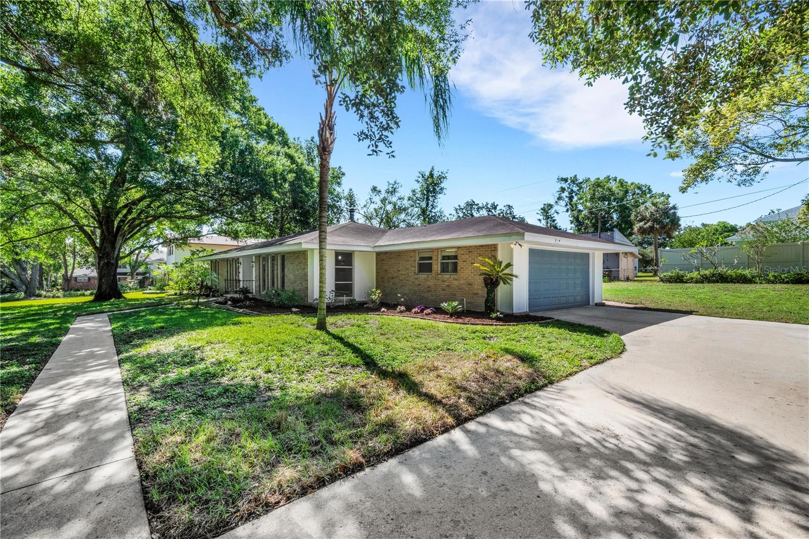 Front yard &amp; driveway