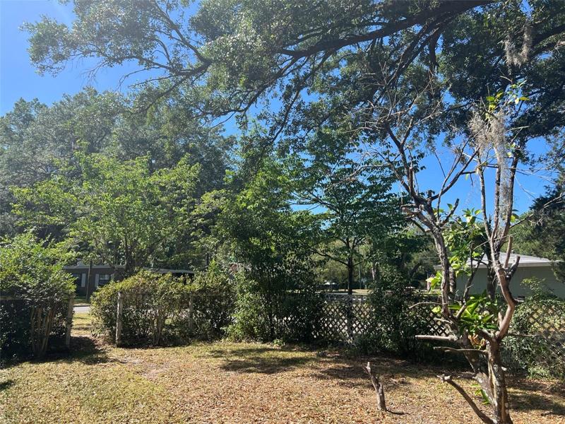 Side Yard