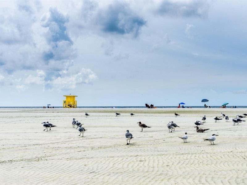 1170