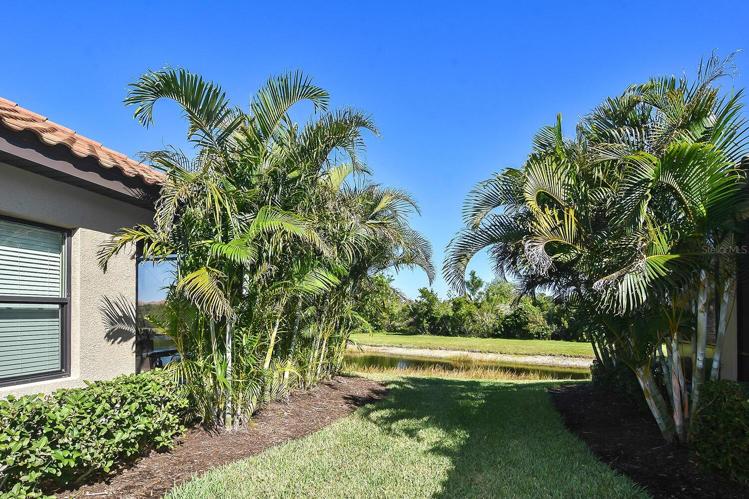 Yard between properties