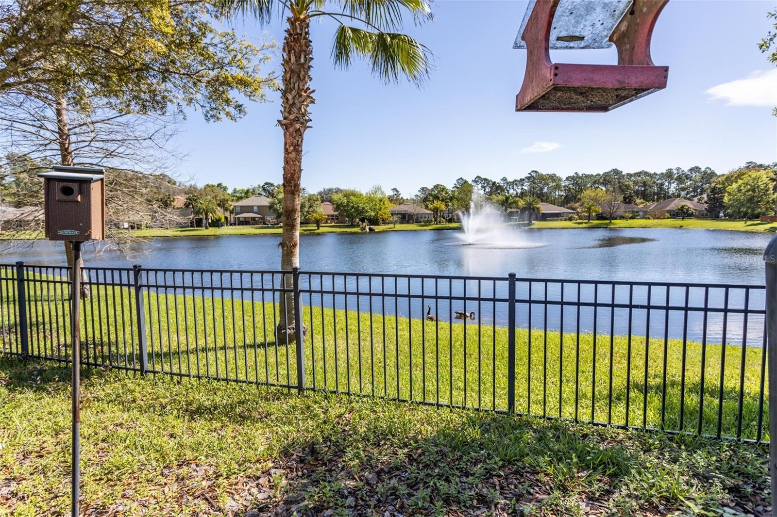 Fully Fenced Yard
