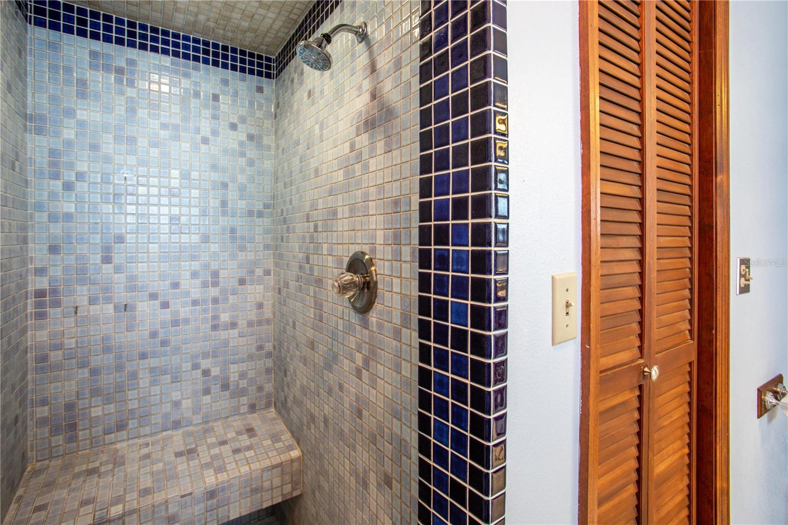Master Shower
