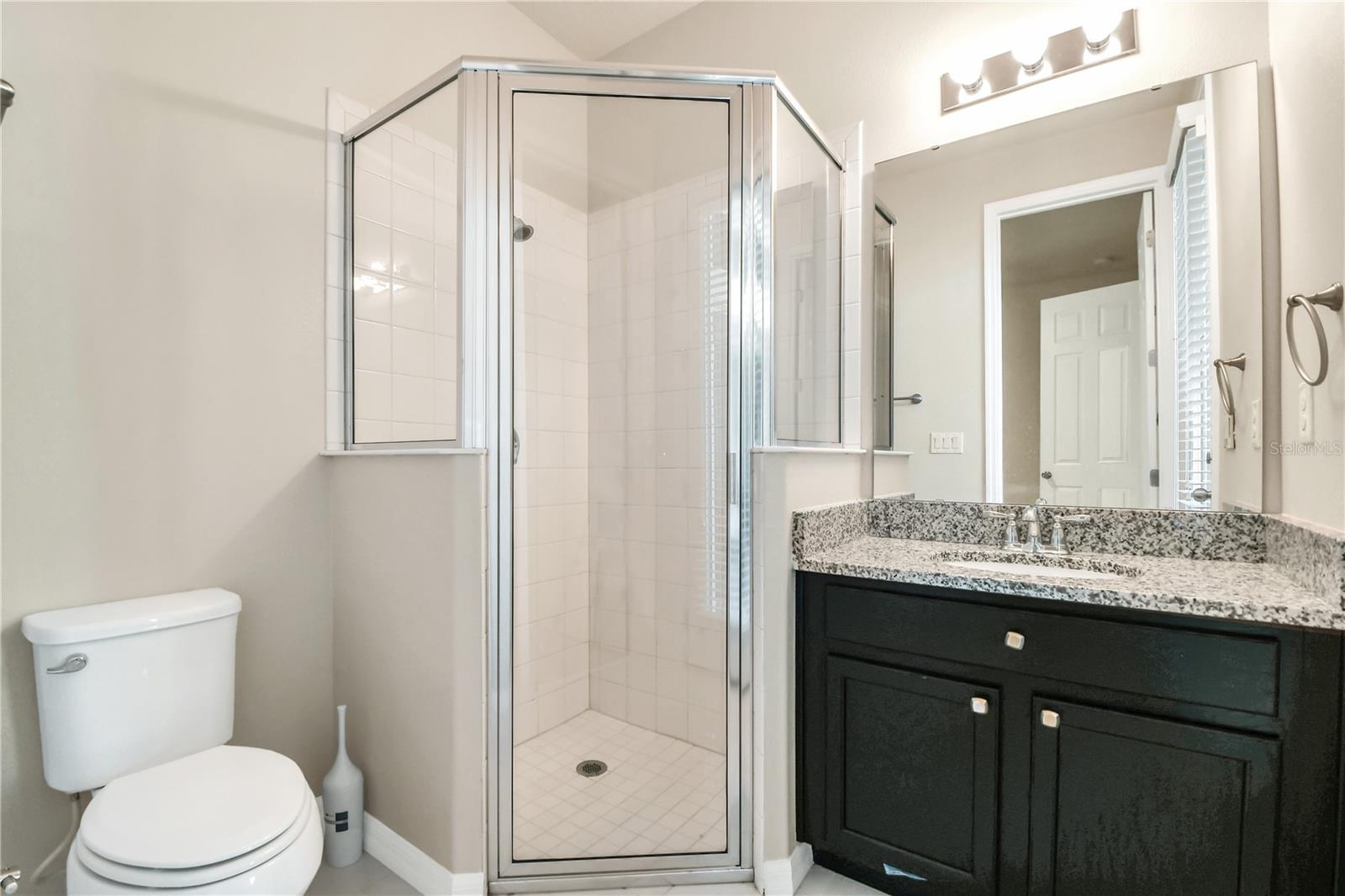 In-Law Suite Bathroom