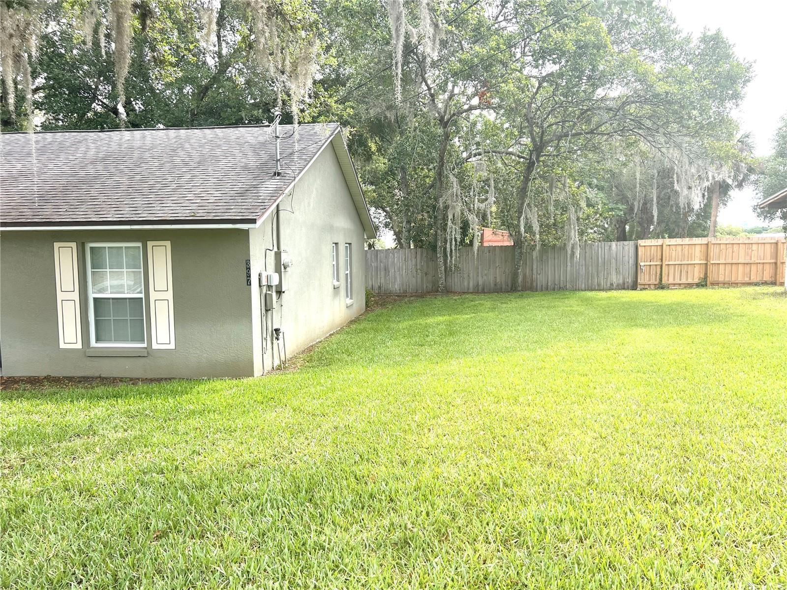 Side Yard