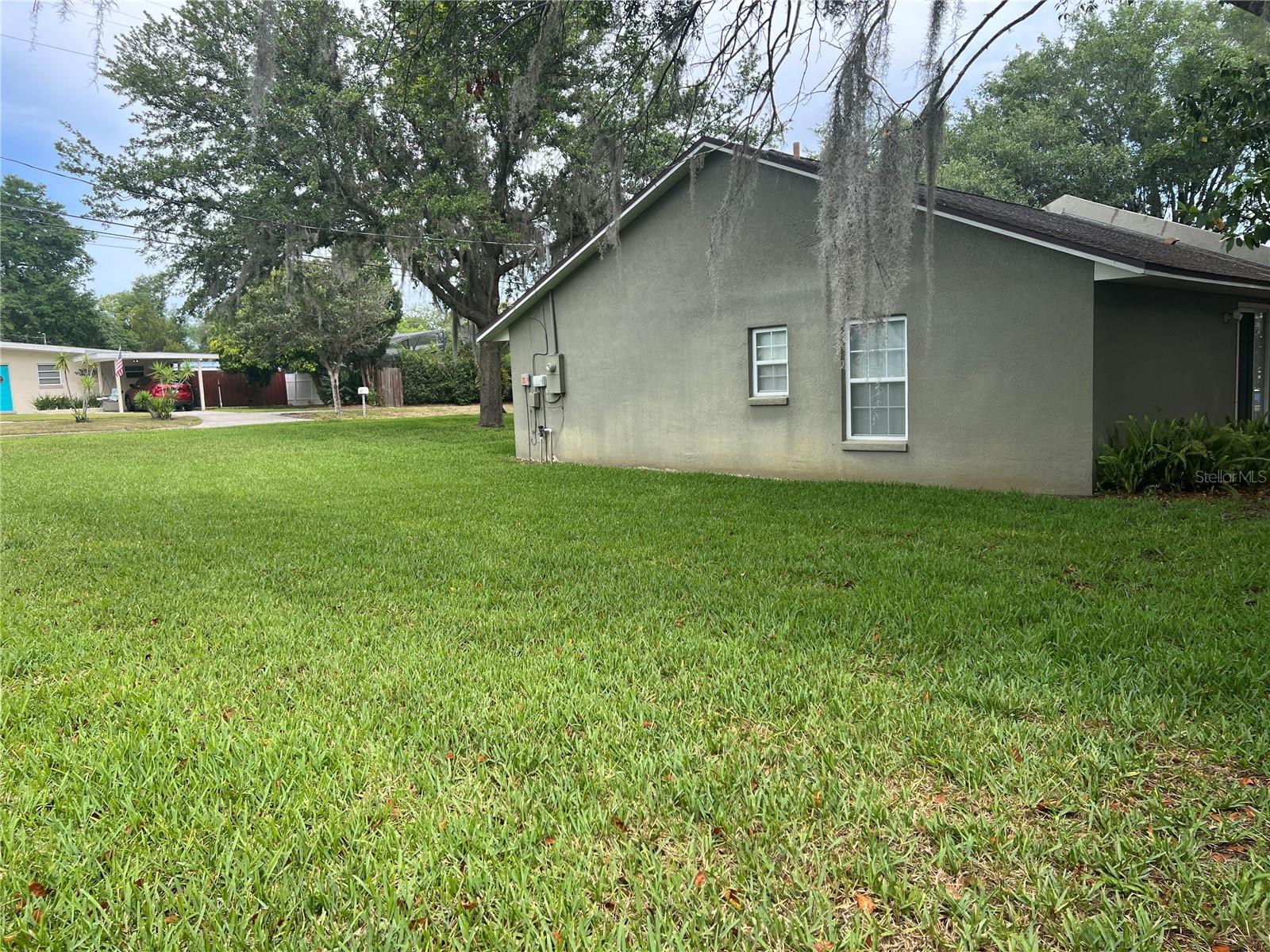 Side Yard