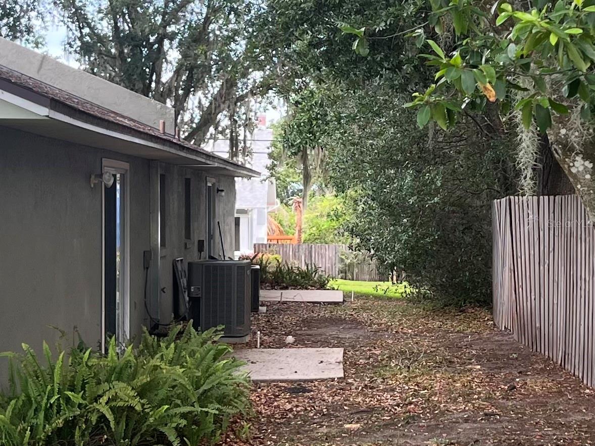 Back Yard