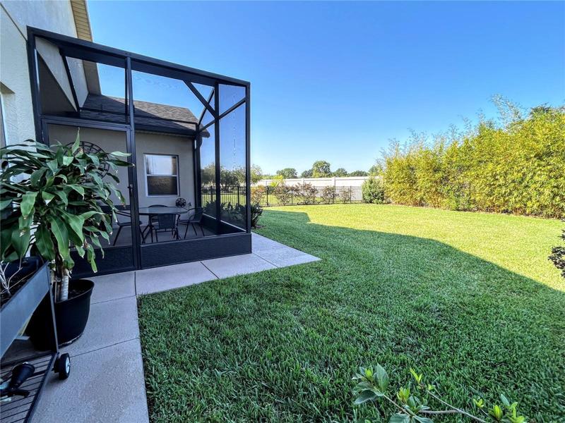Backyard view.