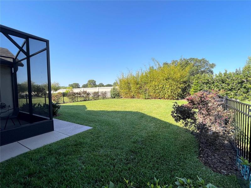 Fenced Yard