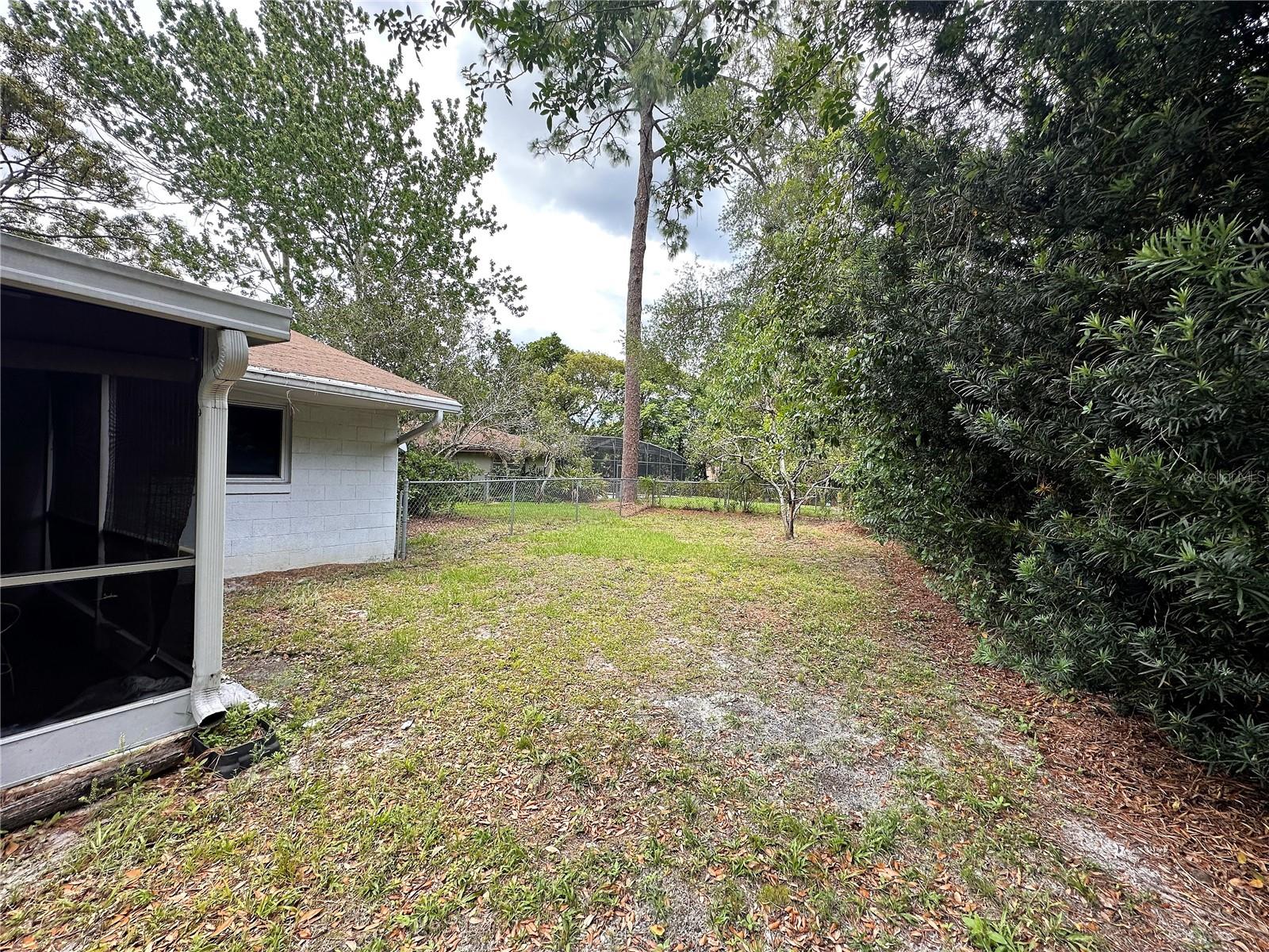Back Yard