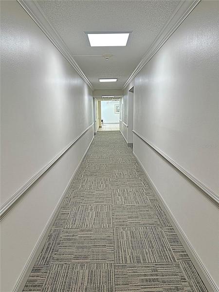 BUILDING COMMON AREA'S NEWLY RENOVATED