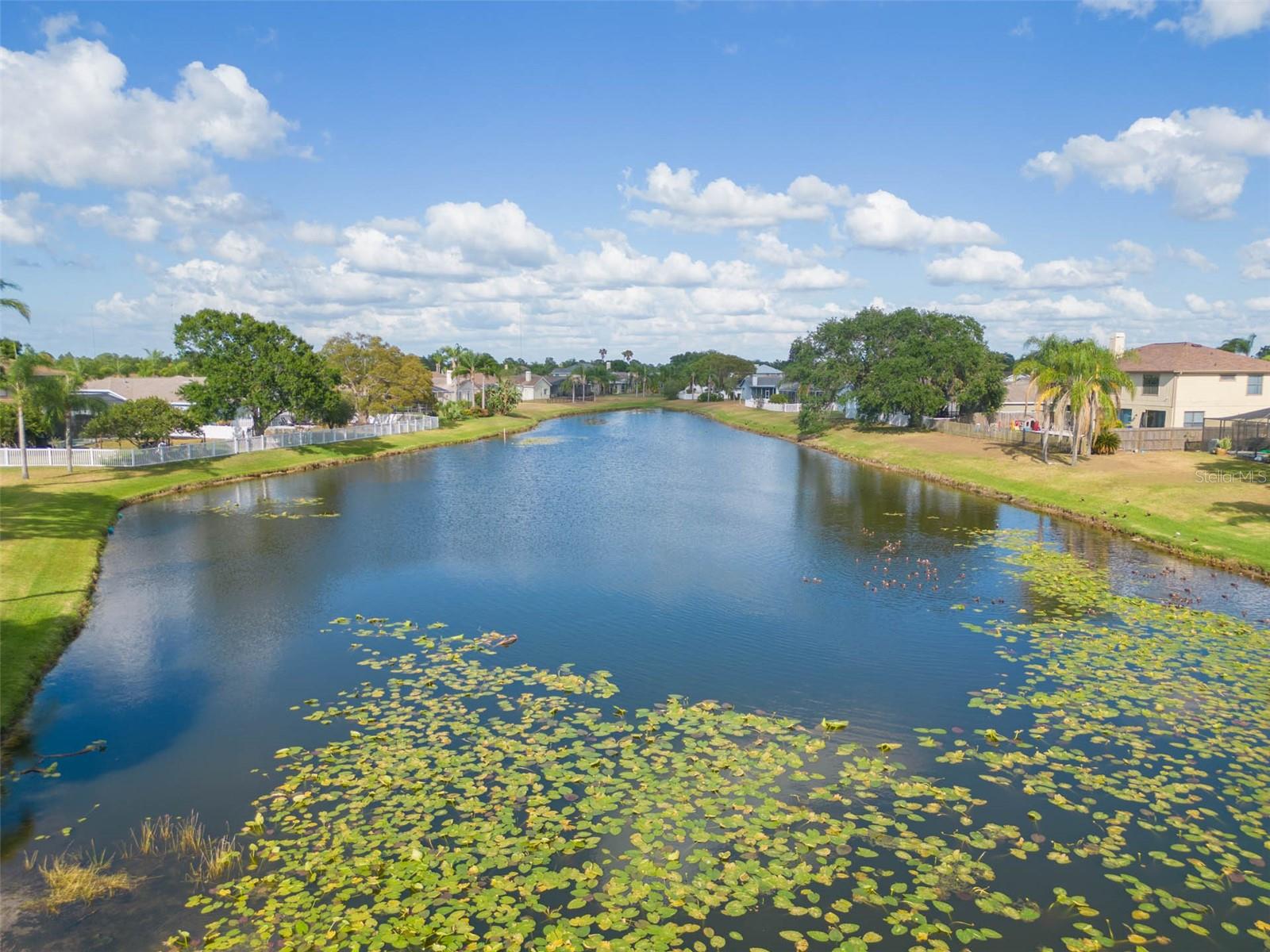 Pond