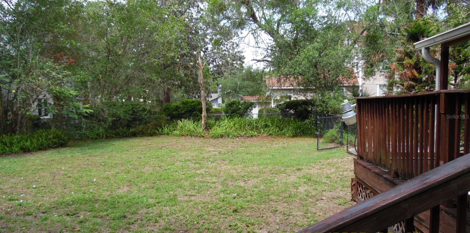 Back yard