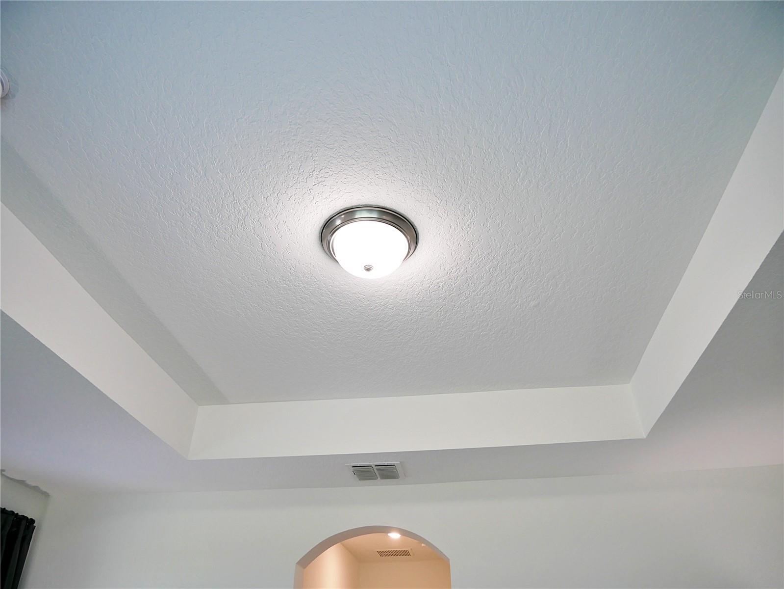 Tray Ceiling in the Master add some Color, fan or chandelier, with some Crown Molding. Kick it up a notch!