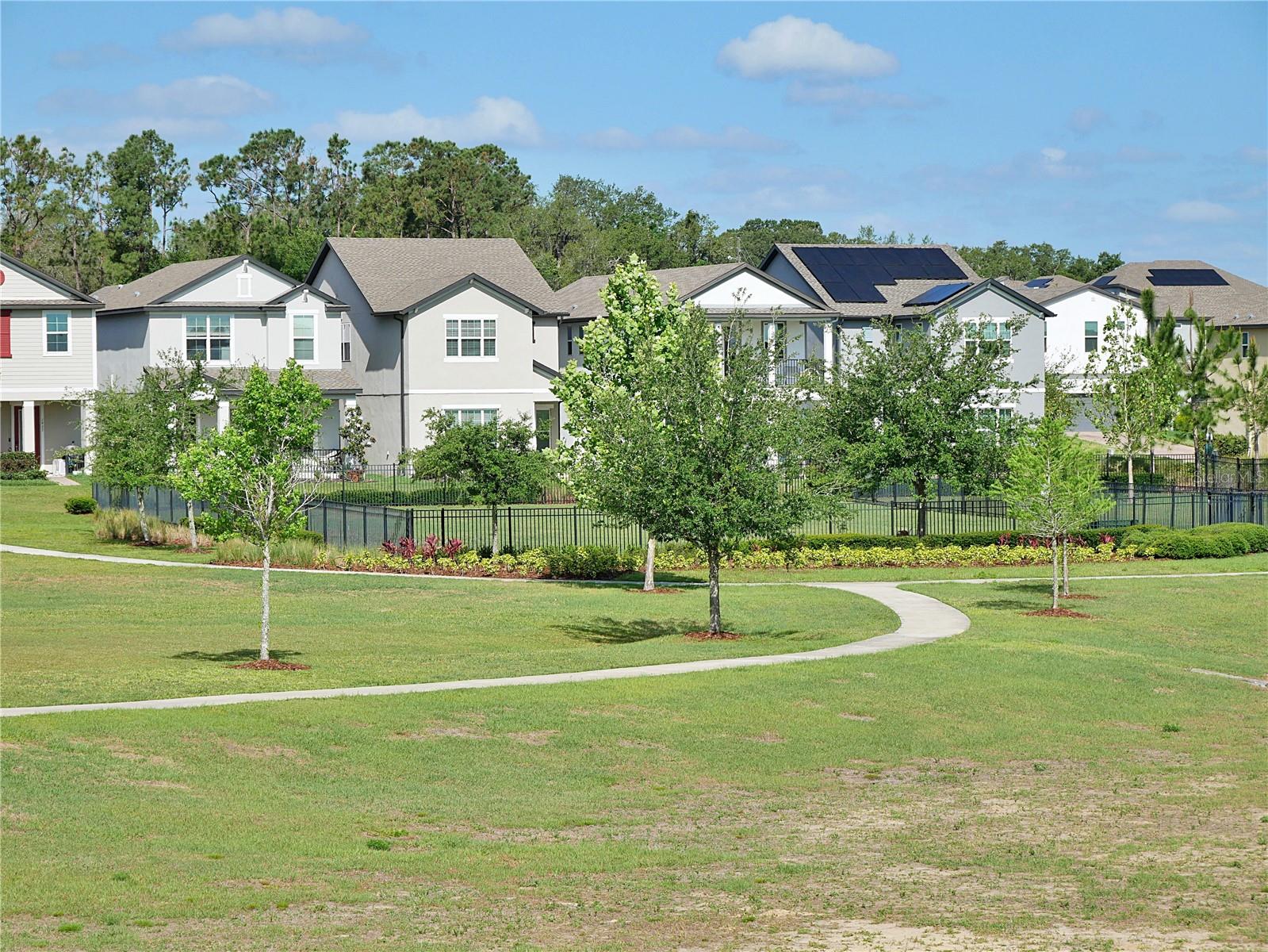 Common area and doggie Park.