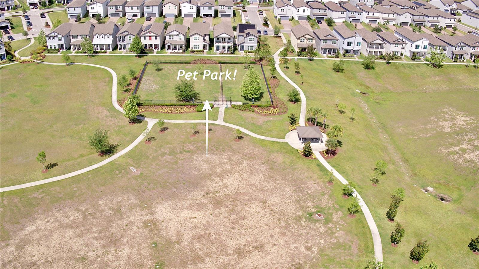 Big Doggie Park, Space to roam.