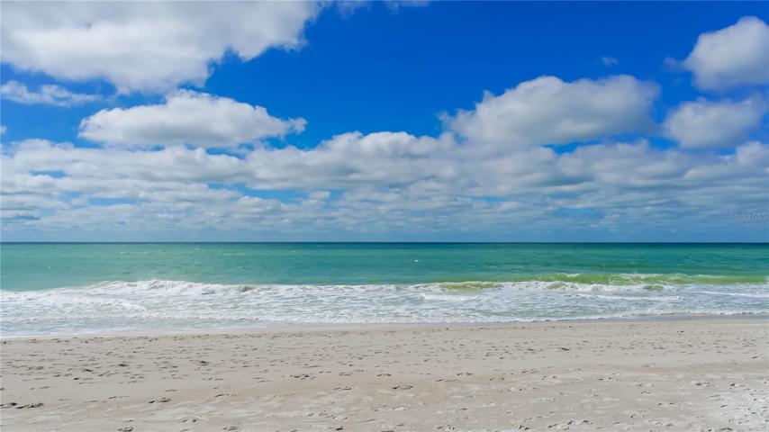 Warm Waters of the Gulf of Mexico