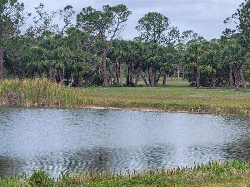 Rotonda Lakes Park 2