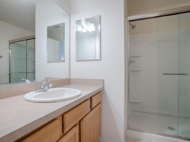 WALK-IN SHOWER IN THE MASTER BATH