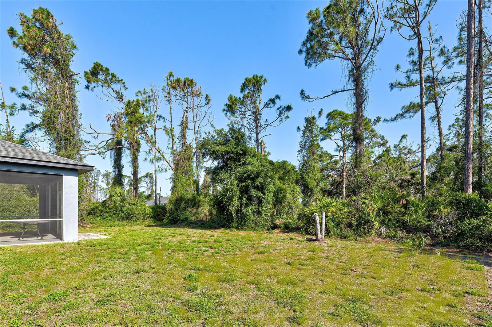 Back yard