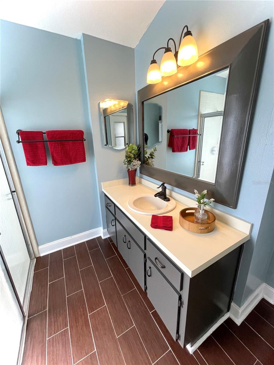 Master Bathroom/Pool Bath