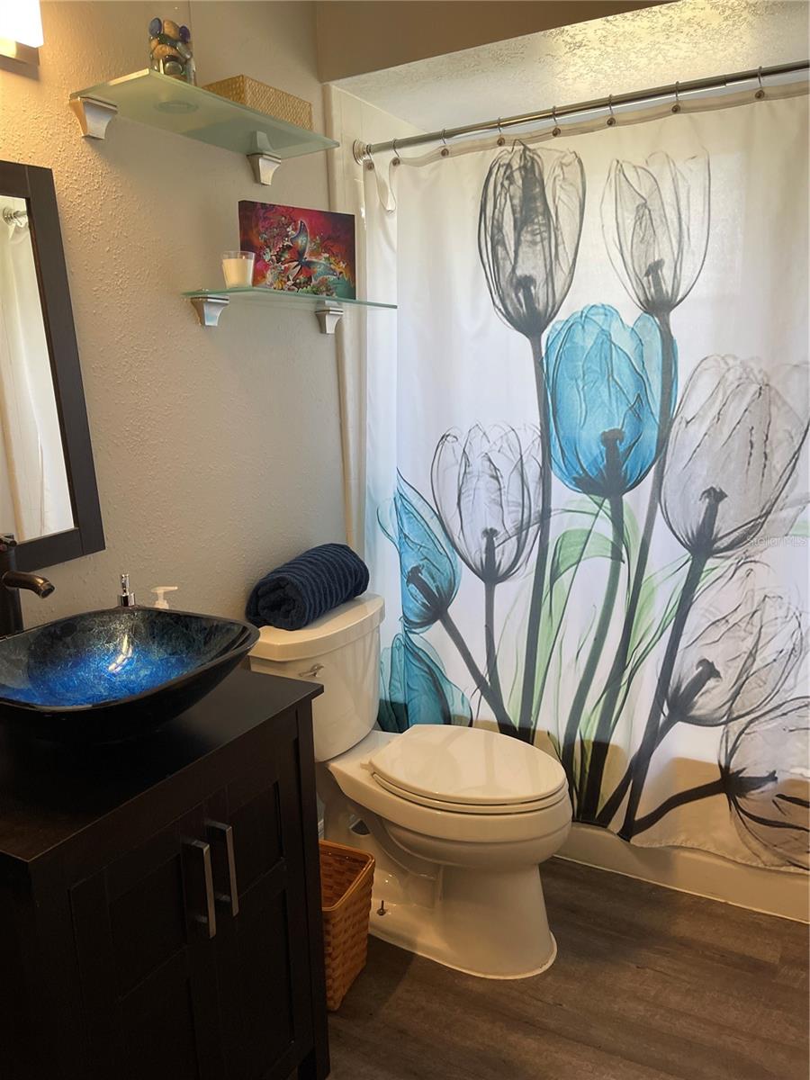 Common Bathroom