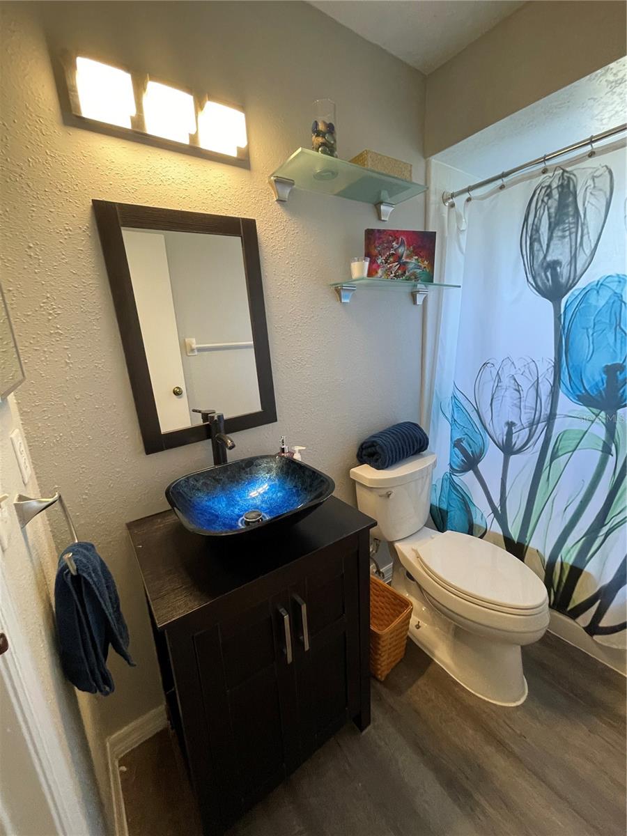 Common Bathroom