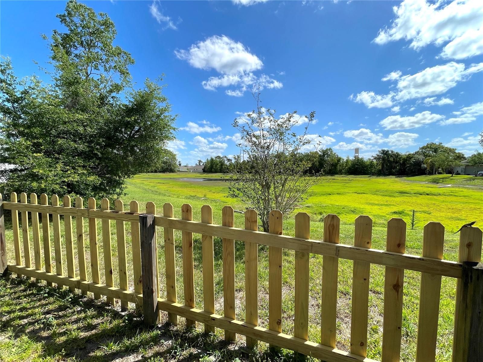 Rear Yard View